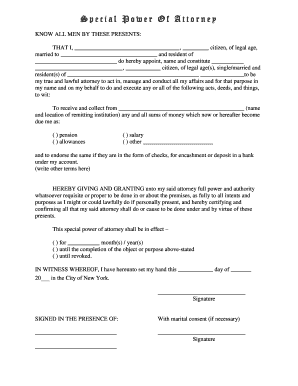 Special Power of Attorney