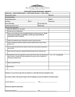 Customer Debt Conversion Representations Addendum