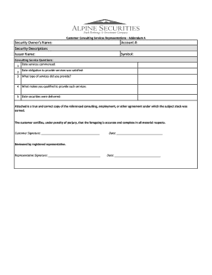 Customer Consulting Services Representations Addendum