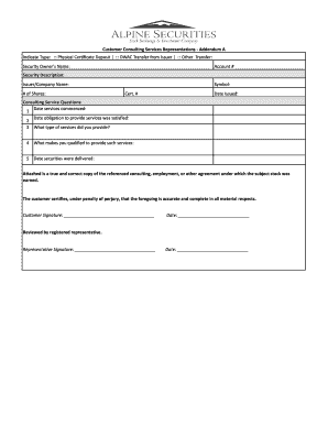 Consulting Services Representations Addendum
