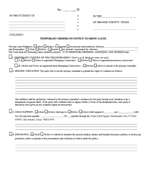 Texas Temporary Custody Orders