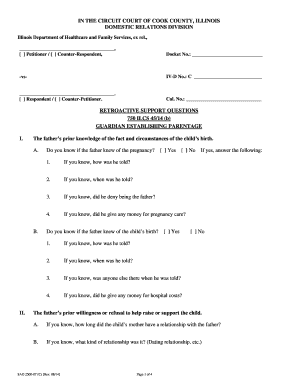 Illinois Retroactive Child Support Questionnaire
