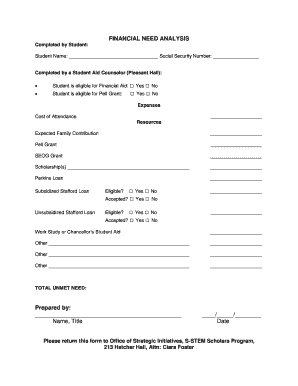 Financial Need Analysis Form
