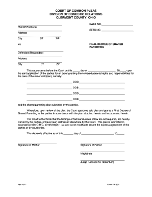 Final Decree of Shared Parenting