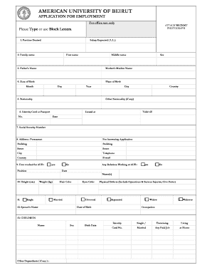 American University of Beirut Employment Application