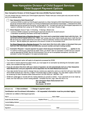 New Hampshire Child Support Payment Options Form