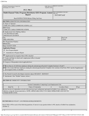 FCC Form 396-C EEO Program Annual Report