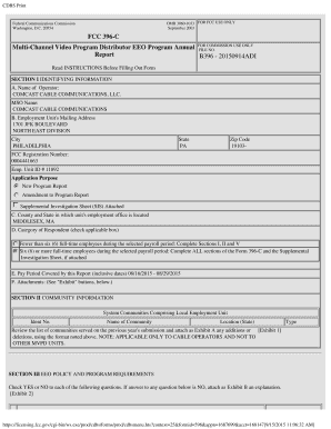 FCC 396-C EEO Program Annual Report