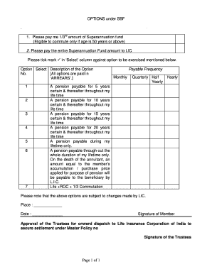 Superannuation Fund Pension Options Form