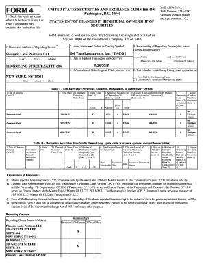 Form 4 Statement of Changes in Beneficial Ownership