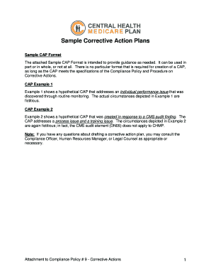 Corrective Action Plan Template