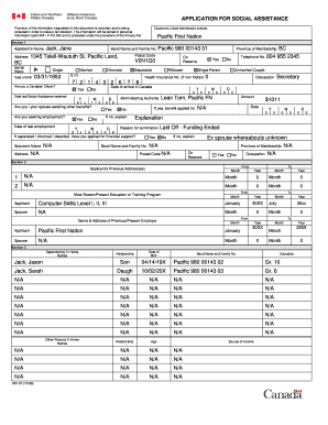 Social Assistance Application Form
