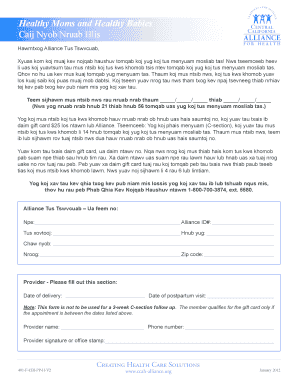 Healthy Moms and Healthy Babies Postpartum Visit Form