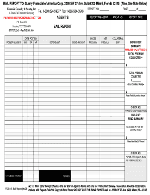 Texas Bail Report Form