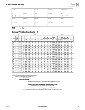 OH Blue 6.0 Core SQF Small Group Form