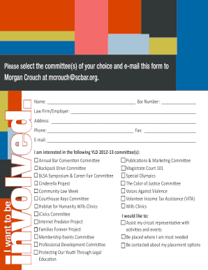 12YOUNG 13 LAWYERS - South Carolina Bar