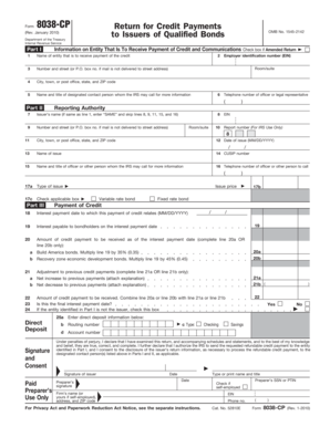 IRS Form 8038-CP Return for Credit Payments