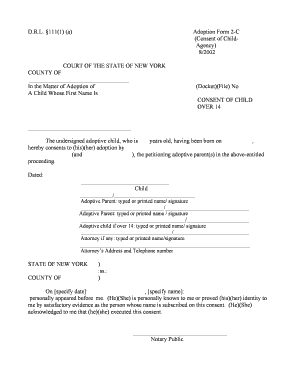 New York Adoption Consent Form