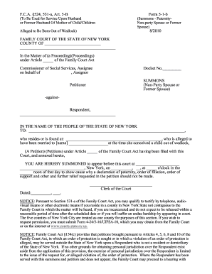 New York Paternity Summons