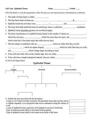 A&P Lab: Epithelial Tissues Worksheet