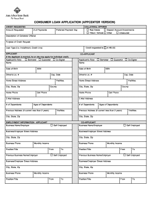 Consumer Loan Application Form