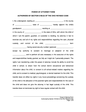 Ohio Power of Attorney for Child Care