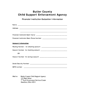 Child Support Financial Institution Deduction Form