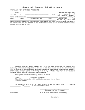 Special Power of Attorney