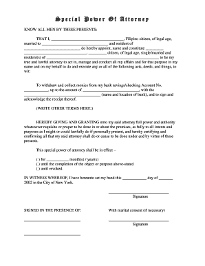 Special Power of Attorney