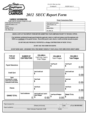 2012 SECC Report Form