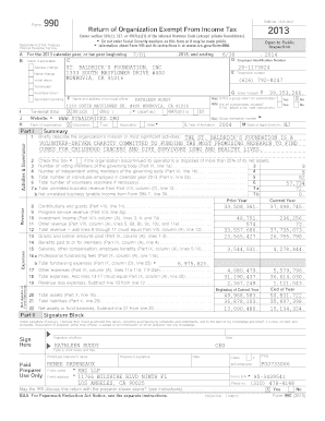 Form 990 2013