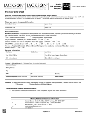 Form preview picture