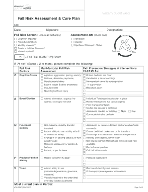 Fall Risk Assessment and Care Plan