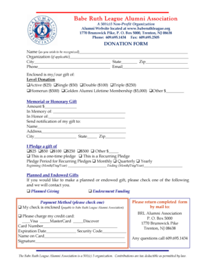 Babe Ruth League Donation Form