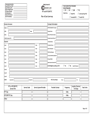 RTF/IRT/CRR/TFC Plan of Care Form