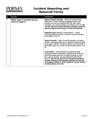 Accident/Incident Report Form 01