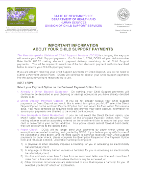 New Hampshire Child Support Payment Option Form