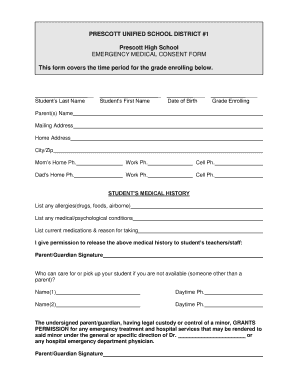 Emergency Medical Consent Form