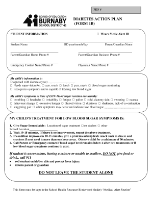 Diabetes Action Plan Form
