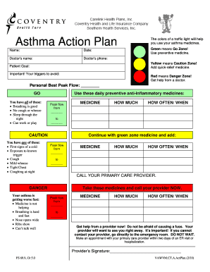 Asthma Action Plan Form