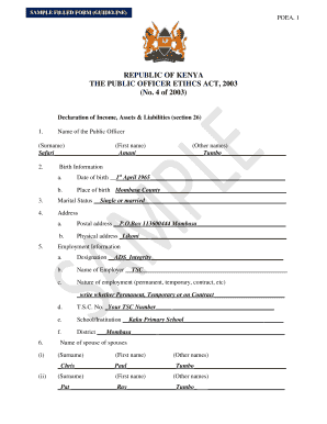 Kenya Public Officer Ethics Act Declaration Form