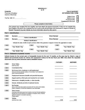 Canada Child Support Determination Form