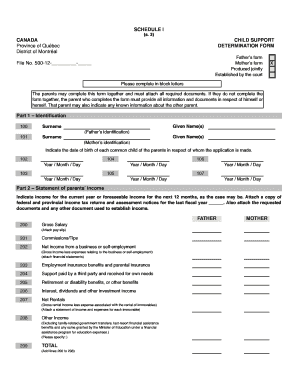 Canada Child Support Determination Form