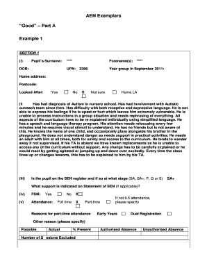 UK Special Educational Needs Pupil Assessment Form