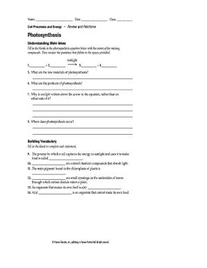 Photosynthesis Worksheet