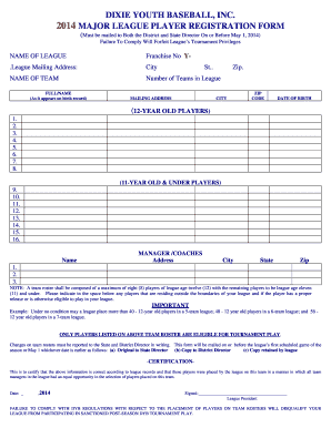 Dixie Youth Baseball Major League Player Registration Form
