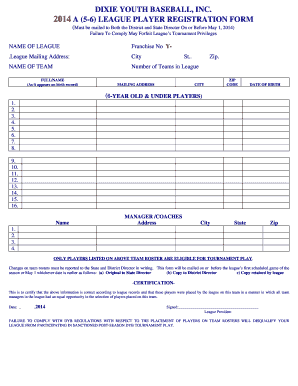 Dixie Youth Baseball Player Registration Form