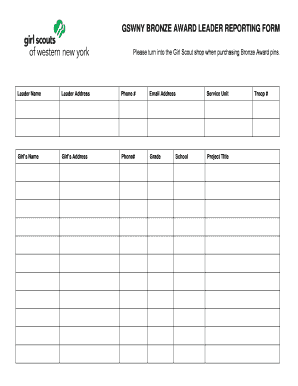 Girl Scout Bronze Award Leader Reporting Form