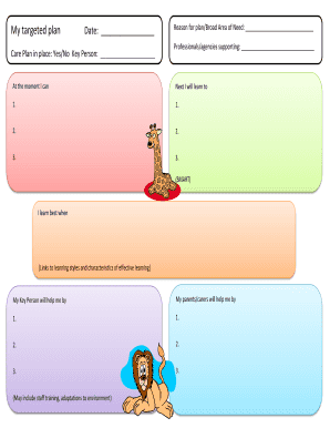 Care Plan Template