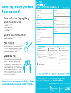 Babysitter Basics Form